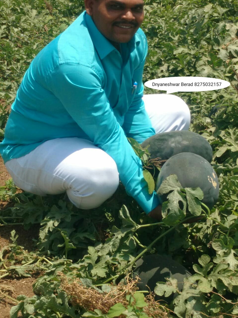 Green Planet Bio Products Ahmednagar Mobile  shop Ahmednagar